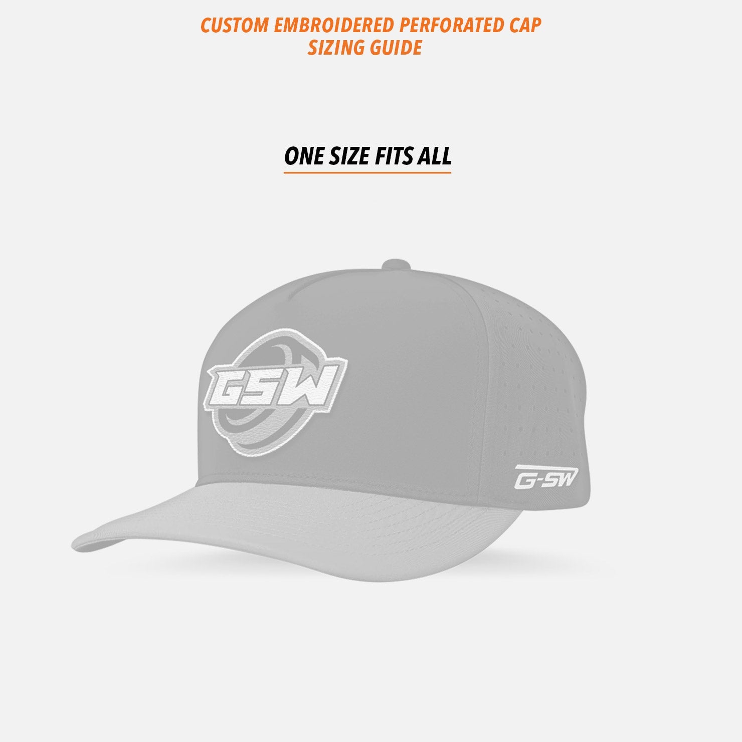 Blind Zebras Embroidered Custom Perforated Cap: GSW Hat Collection 